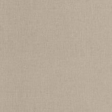 BLS103221850 Uni Mat Chataigne Wallpaper by Caselio