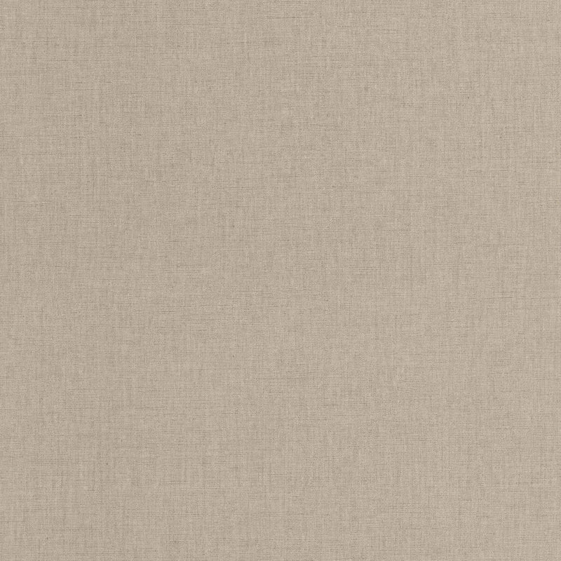 BLS103221850 Uni Mat Chataigne Wallpaper by Caselio