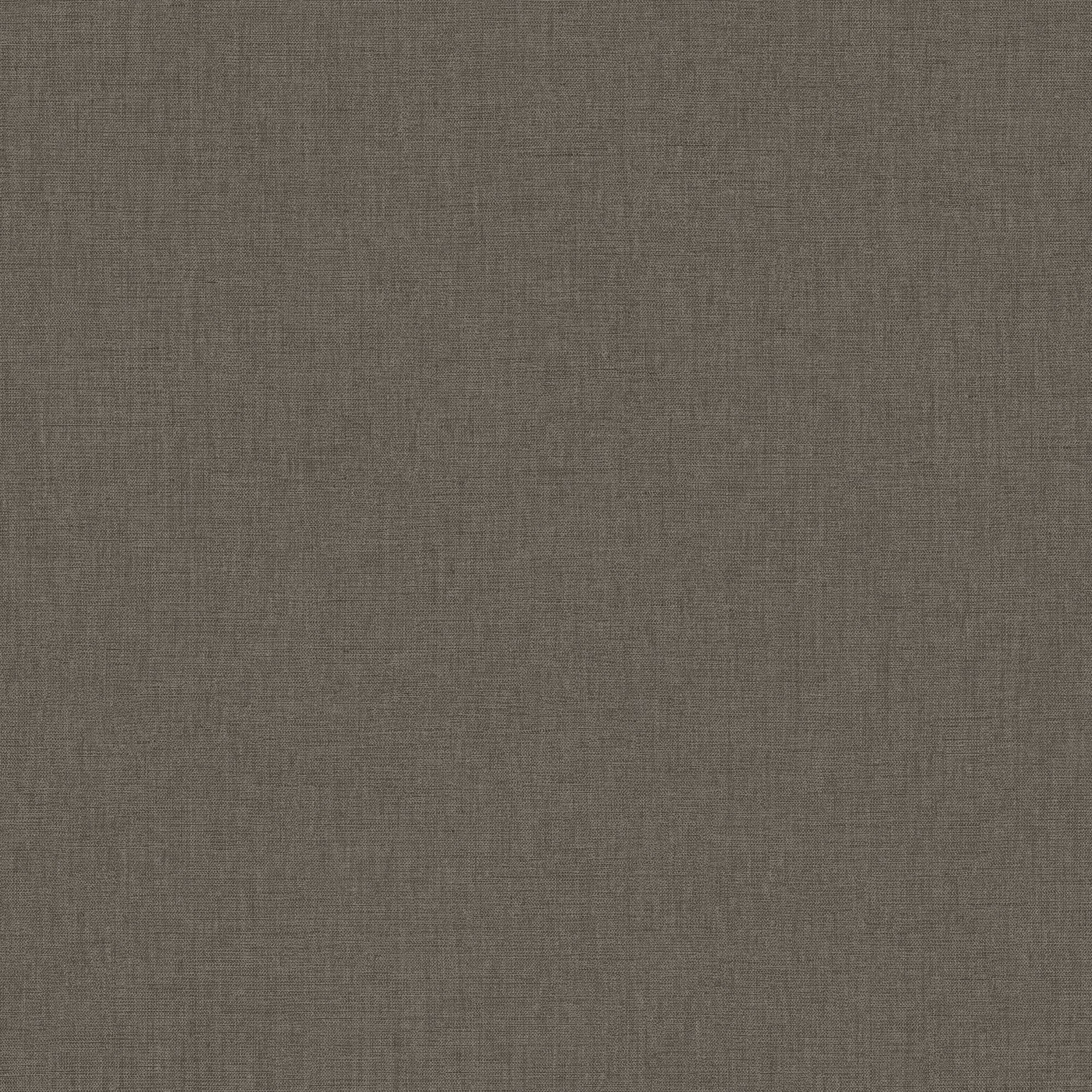 103221920 Uni Mat Taupe Cendre Wallpaper by Caselio