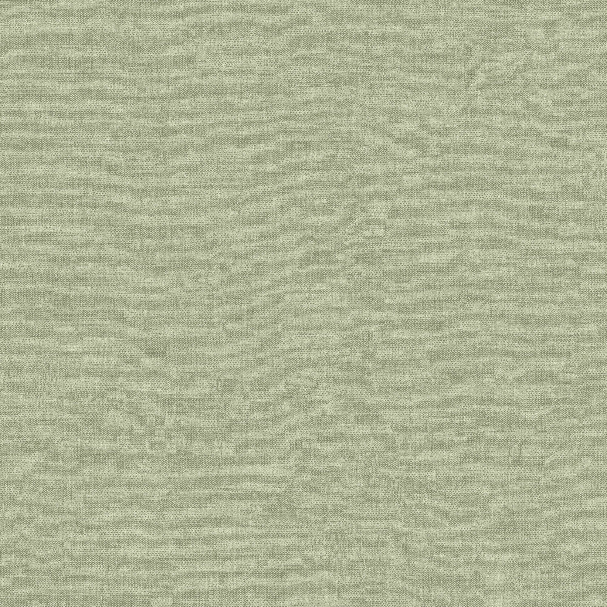 MIP103227410 Uni Mat Green Eucalyptus Wallpaper by Caselio