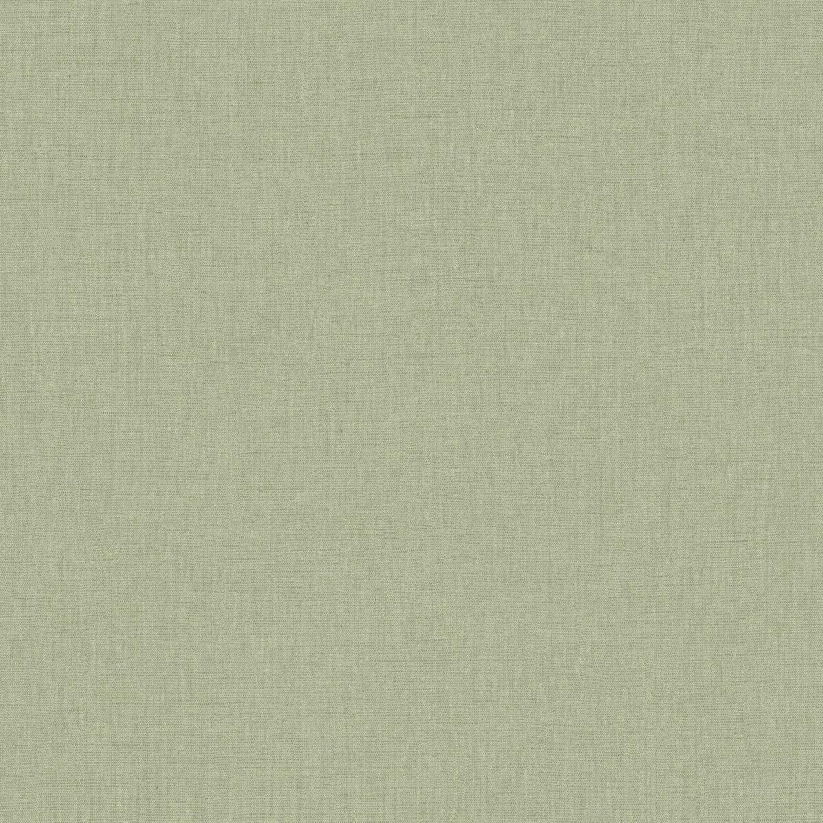 103227410 Uni Mat Vert Eucalyptus Wallpaper by Caselio