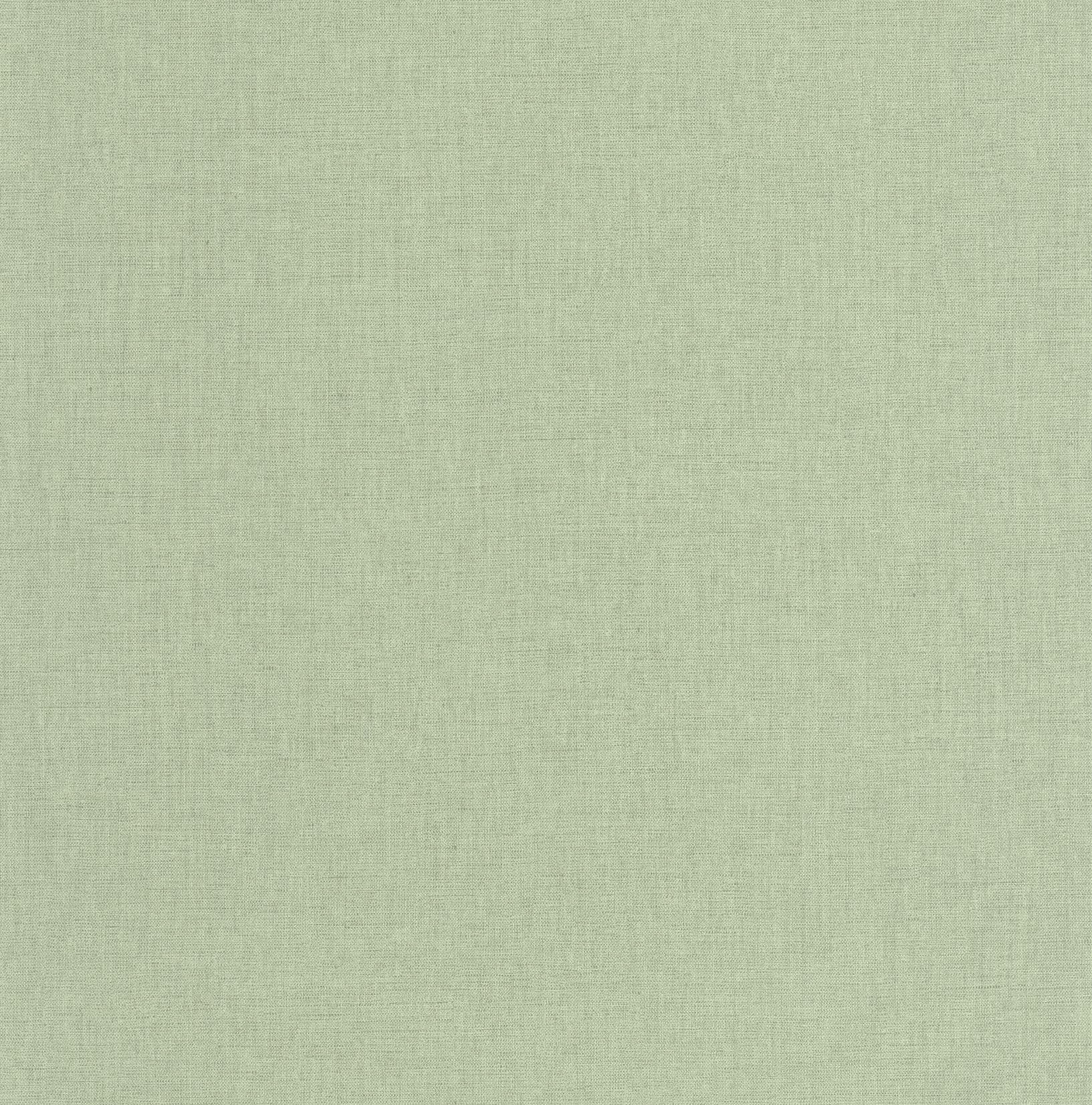 MIP103227410 Uni Mat Green Eucalyptus Wallpaper by Caselio