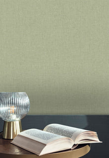 Uni Mat Vert Eucalyptus Maison Simeon Wallpaper by Caselio