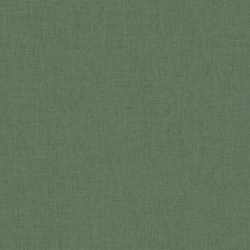 103227970 Uni Mat Vert Bouteille Wallpaper by Caselio