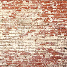 Poetic Wall Young and Free Wallpanel by Caselio