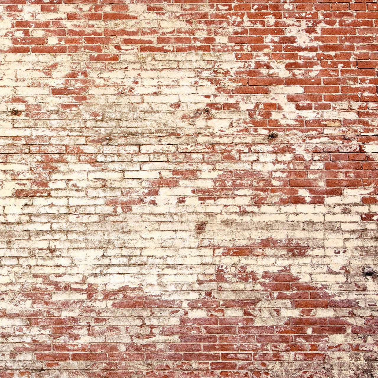 YNF103438203 Poetic Wall Young and Free Wallpanel by Caselio