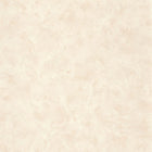 PAE103681238 Uni Metallise Patine 2 Wallpaper by Caselio