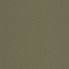 103737051 Eden L'Epopee Kaki Dore Wallpaper By Caselio