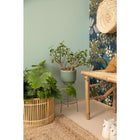 103737127 Eden L'Epopee Vert D Eau Dore Wallpaper By Caselio