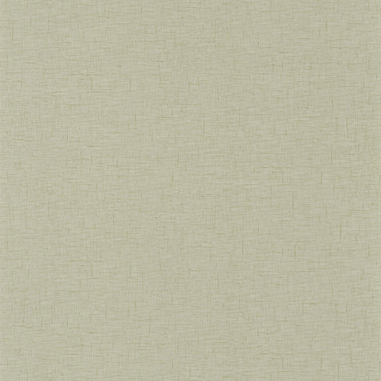 GAZ103767113 Uni Gaze Wallpaper By Caselio