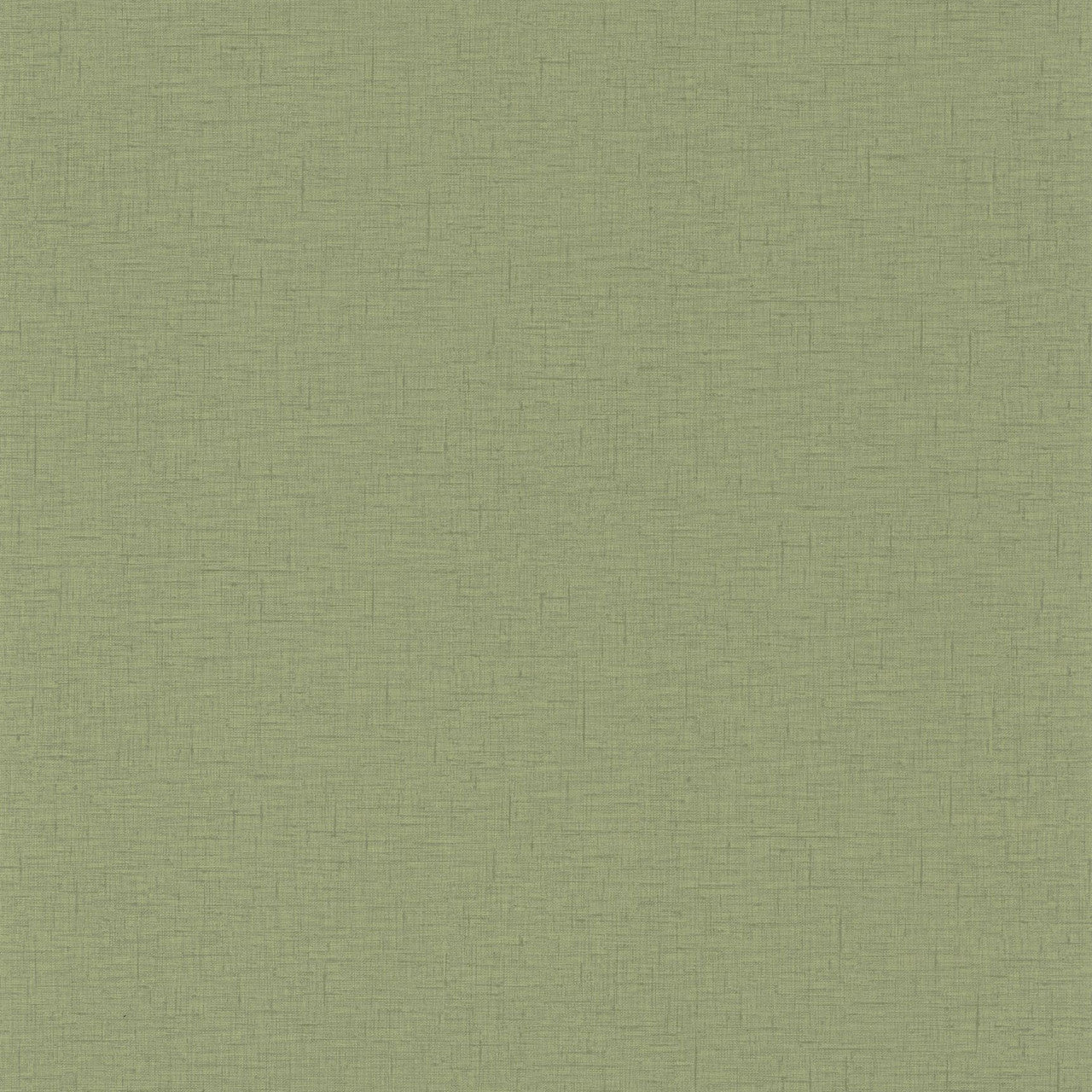 GAZ103767228 Uni Gaze Wallpaper By Caselio