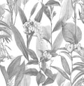 Botanical Hybrid Wallpaper by Graham and Brown
