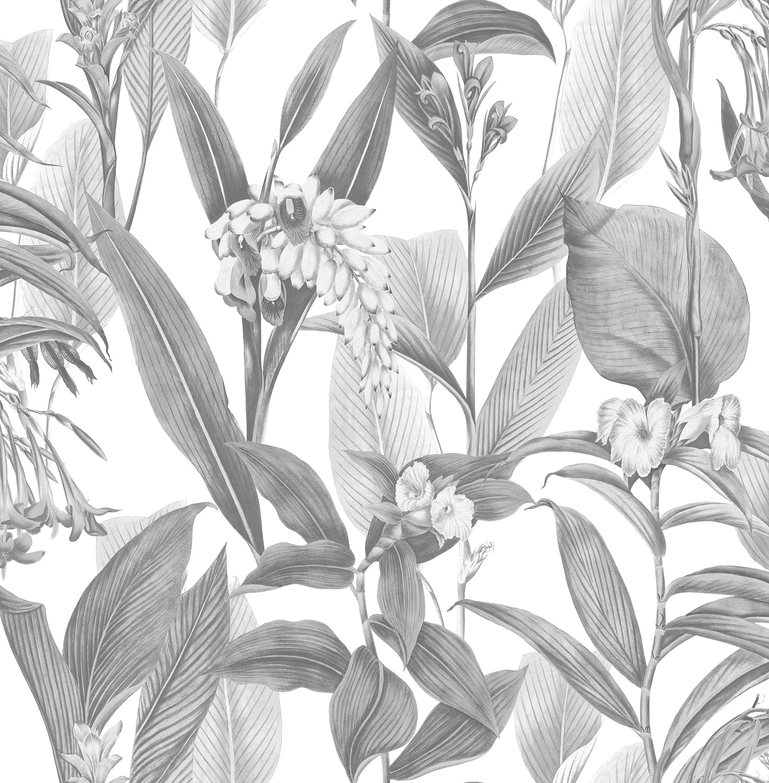 103801 Botanical Hybrid Wallpaper by Graham and Brown