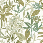 103850223 Santiago Green & Co Vert Mousse Wallpaper By Caselio