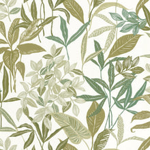 103850223 Santiago Green & Co Vert Mousse Wallpaper By Caselio