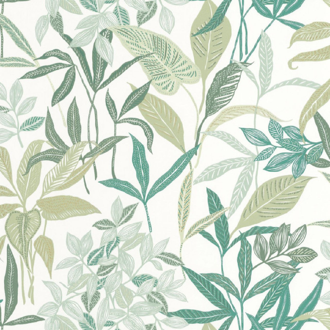 103850788 Santiago Green & Co Vert De Gris Wallpaper By Caselio