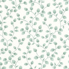 103867002 Melbourne Green & Co Vert Mousse Wallpaper By Caselio