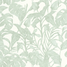 103870788 Bogota Green & Co Vert d'Eau Wallpaper By Caselio