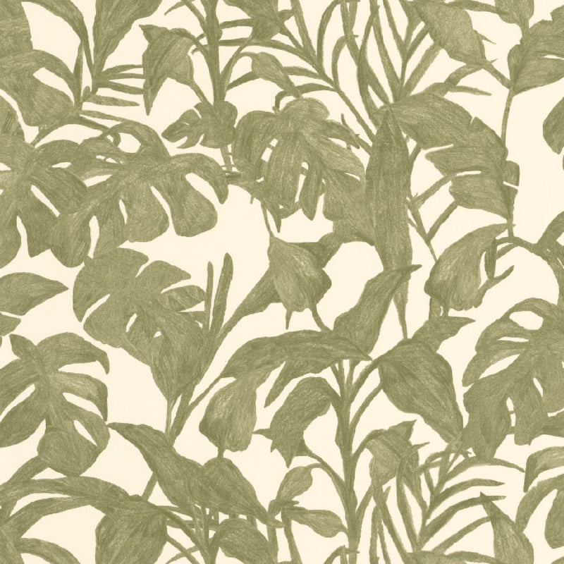 103871758 Bogota Green & Co Vert Kaki Wallpaper By Caselio