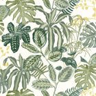 103897067 Manaus Green & Co Vert Mousse Wallpaper By Caselio