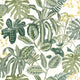 Manaus Green & Co Vert mousse Wallpaper By Caselio