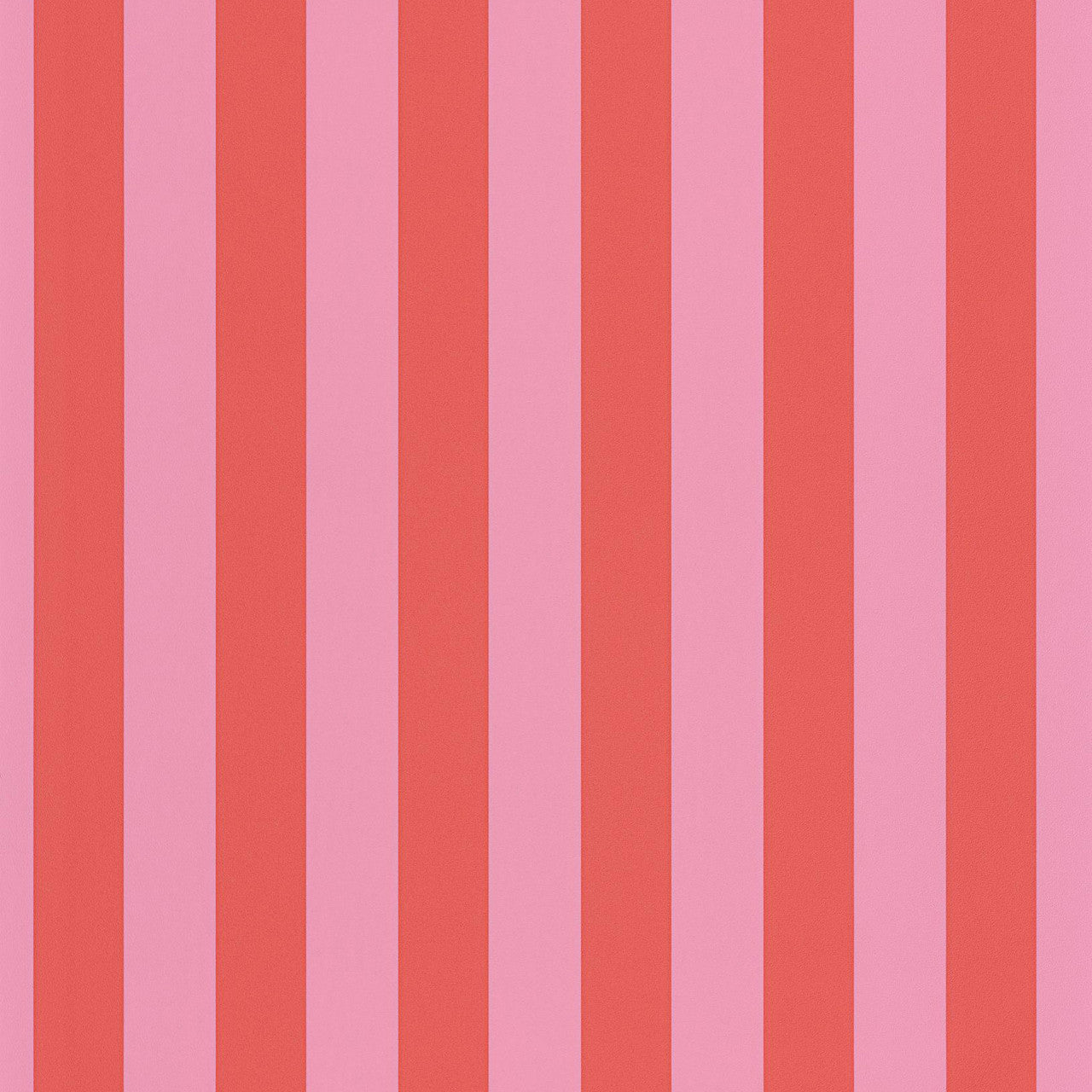 BAI104034140 Little Lines Basics Wallpaper By Caselio