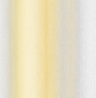 104077 Wildflower Stripe Floriculture Wallpaper by Graham and Brown