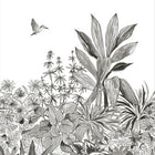 Colibri Moonlight 2 Mural By Caselio
