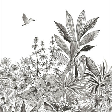 Colibri Moonlight 2 Mural By Caselio