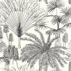 MLGT104330956 Paradisia Moonlight 2 Wallpaper By Caselio