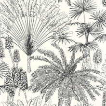 MLGT104330956 Paradisia Moonlight 2 Wallpaper By Caselio