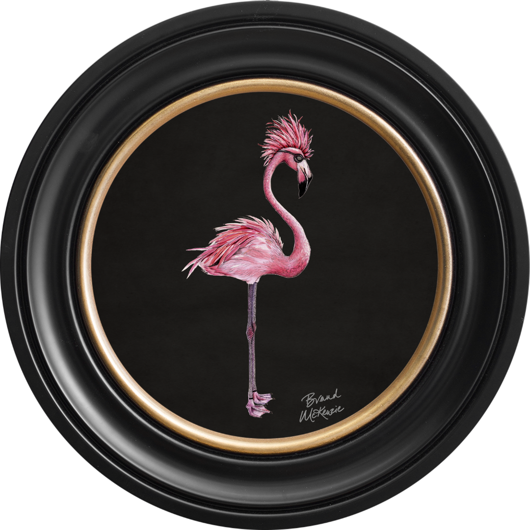 Punk Rocks Fiona on Charcoal Black Framed Art Prints by Brand McKenzie