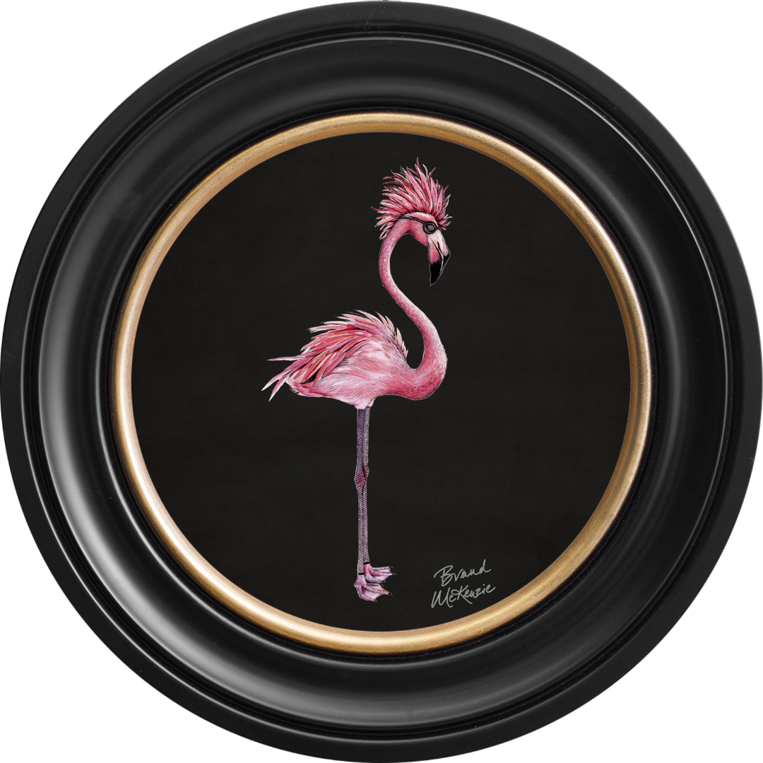 Punk Rocks Fiona on Charcoal Black Framed Art Prints by Brand McKenzie