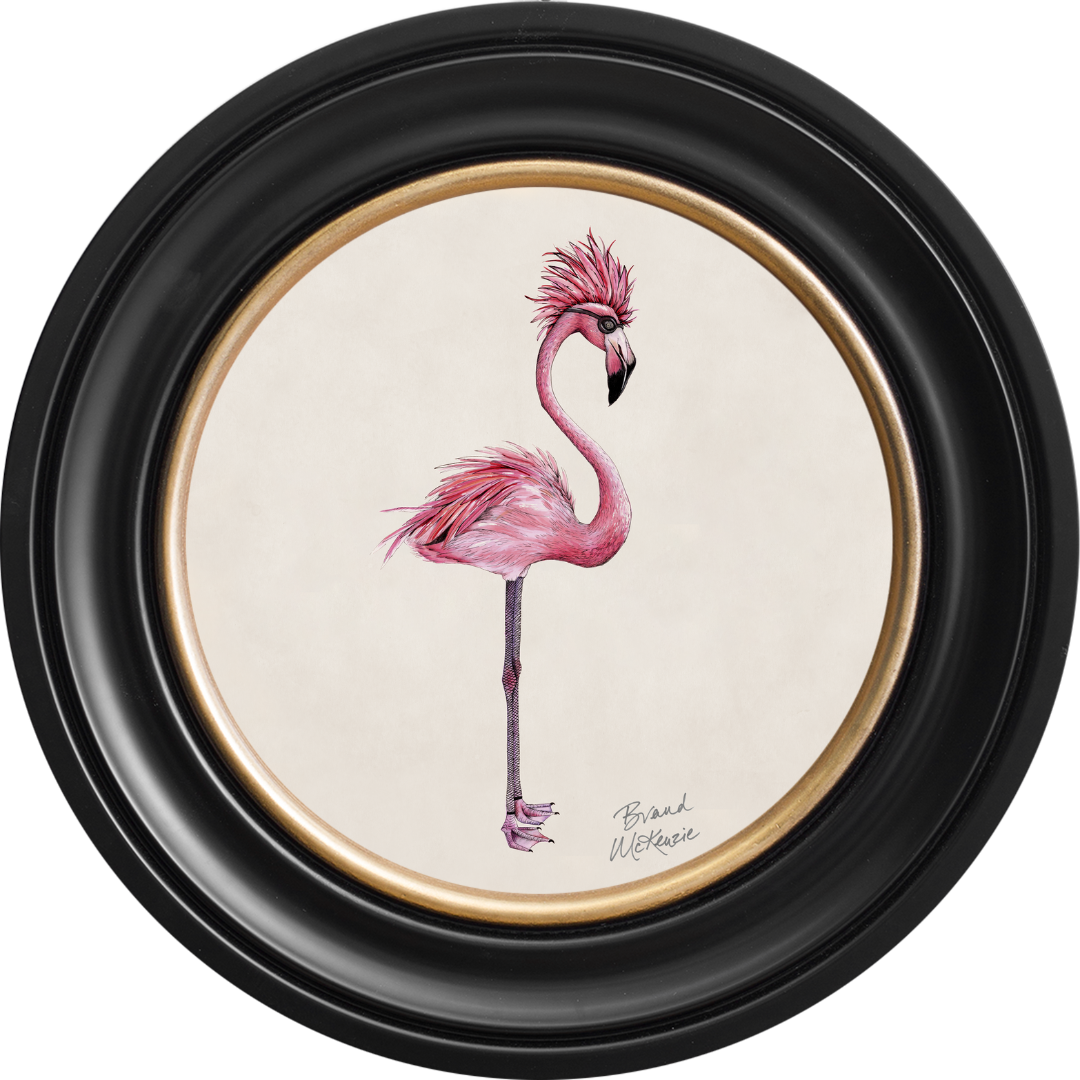 Punk Rocks Fiona on Chalk White Framed Art Prints by Brand McKenzie