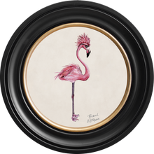 Punk Rocks Fiona on Chalk White Framed Art Prints by Brand McKenzie