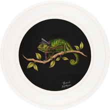 Punk Rocks Cleo on Charcoal Black Framed Art Prints by Brand McKenzie