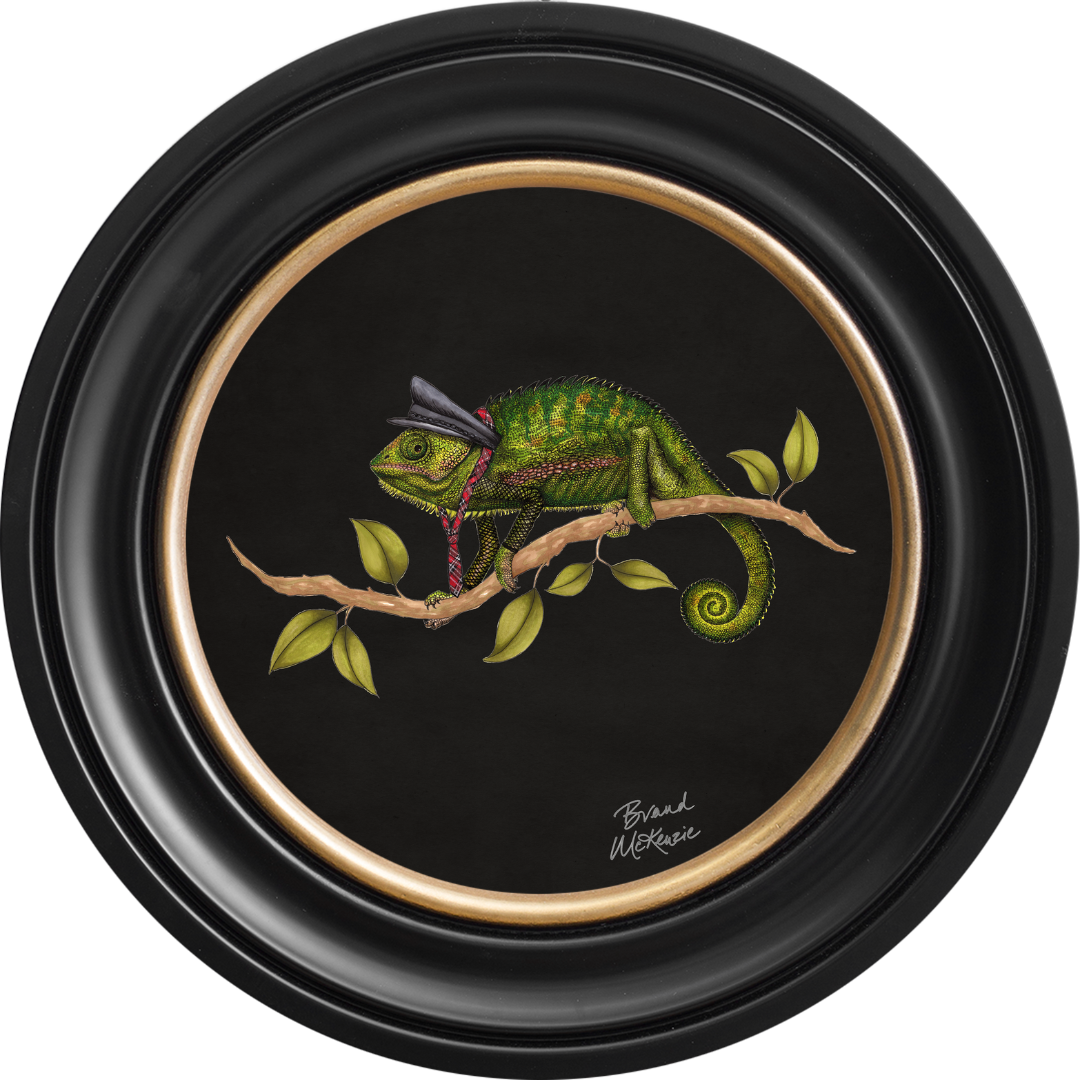 Punk Rocks Cleo on Charcoal Black Framed Art Prints by Brand McKenzie