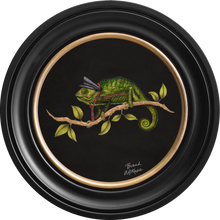 Punk Rocks Cleo on Charcoal Black Framed Art Prints by Brand McKenzie