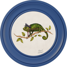 Punk Rocks Cleo on Chalk White Framed Art Prints by Brand McKenzie