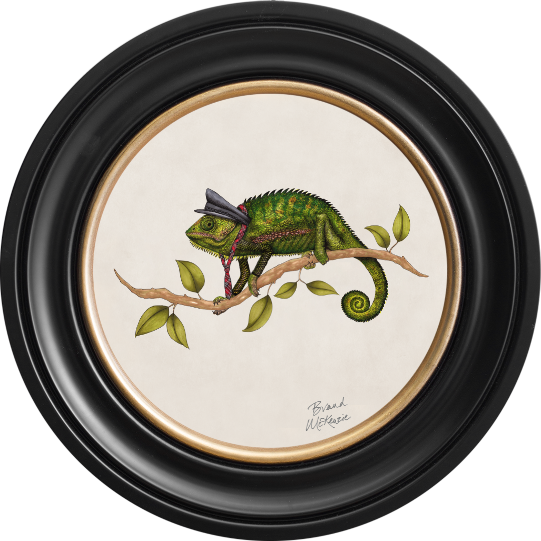 Punk Rocks Cleo on Chalk White Framed Art Prints by Brand McKenzie