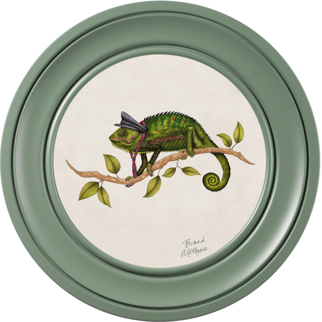 Punk Rocks Cleo on Chalk White Framed Art Prints by Brand McKenzie