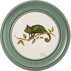 Punk Rocks Cleo on Chalk White Framed Art Prints by Brand McKenzie