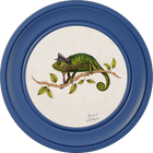 Punk Rocks Cleo on Chalk White Framed Art Prints by Brand McKenzie