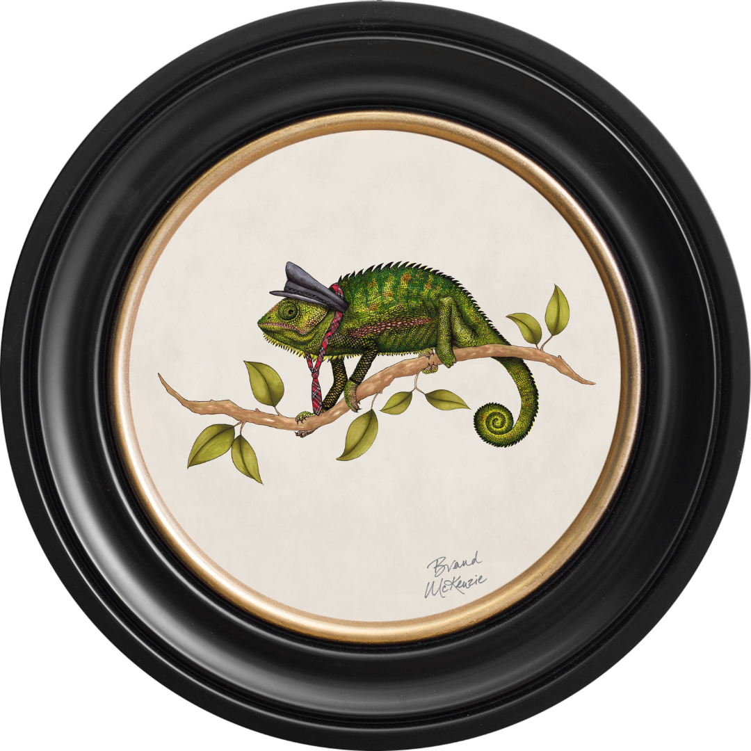 Punk Rocks Cleo on Chalk White Framed Art Prints by Brand McKenzie