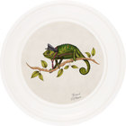 Punk Rocks Cleo on Chalk White Framed Art Prints by Brand McKenzie