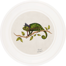 Punk Rocks Cleo on Chalk White Framed Art Prints by Brand McKenzie