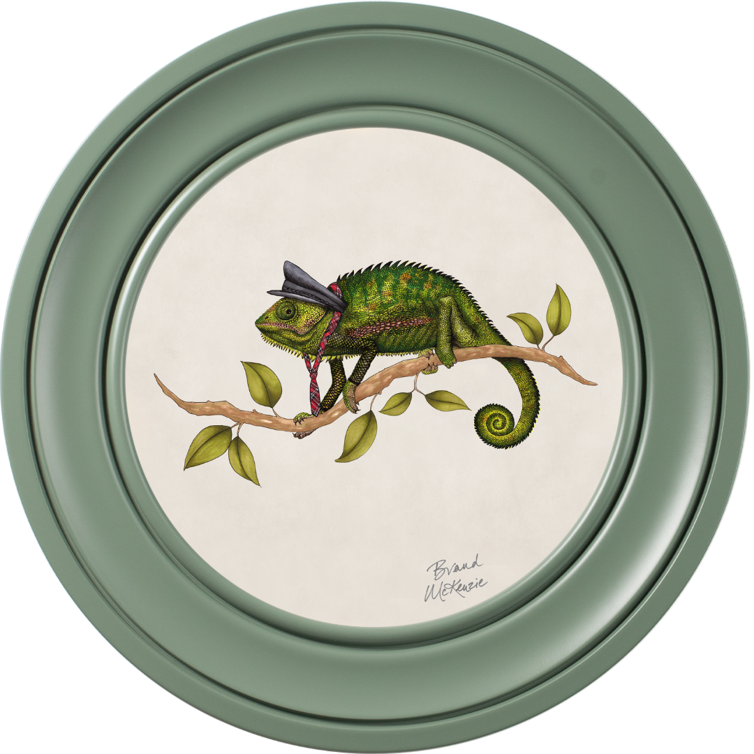 Punk Rocks Cleo on Chalk White Framed Art Prints by Brand McKenzie