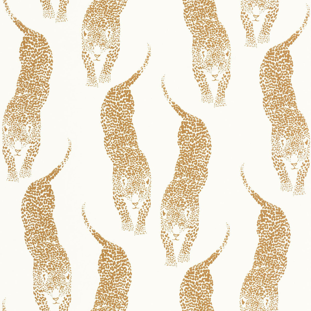 WILD104920281 Panthera Wild Wallpaper by Caselio