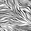 Zebra Blanc Noir Medium Wild Wallpanel by Caselio