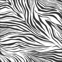 WILD104960905 Zebra Wild Small Wallpanel by Caselio